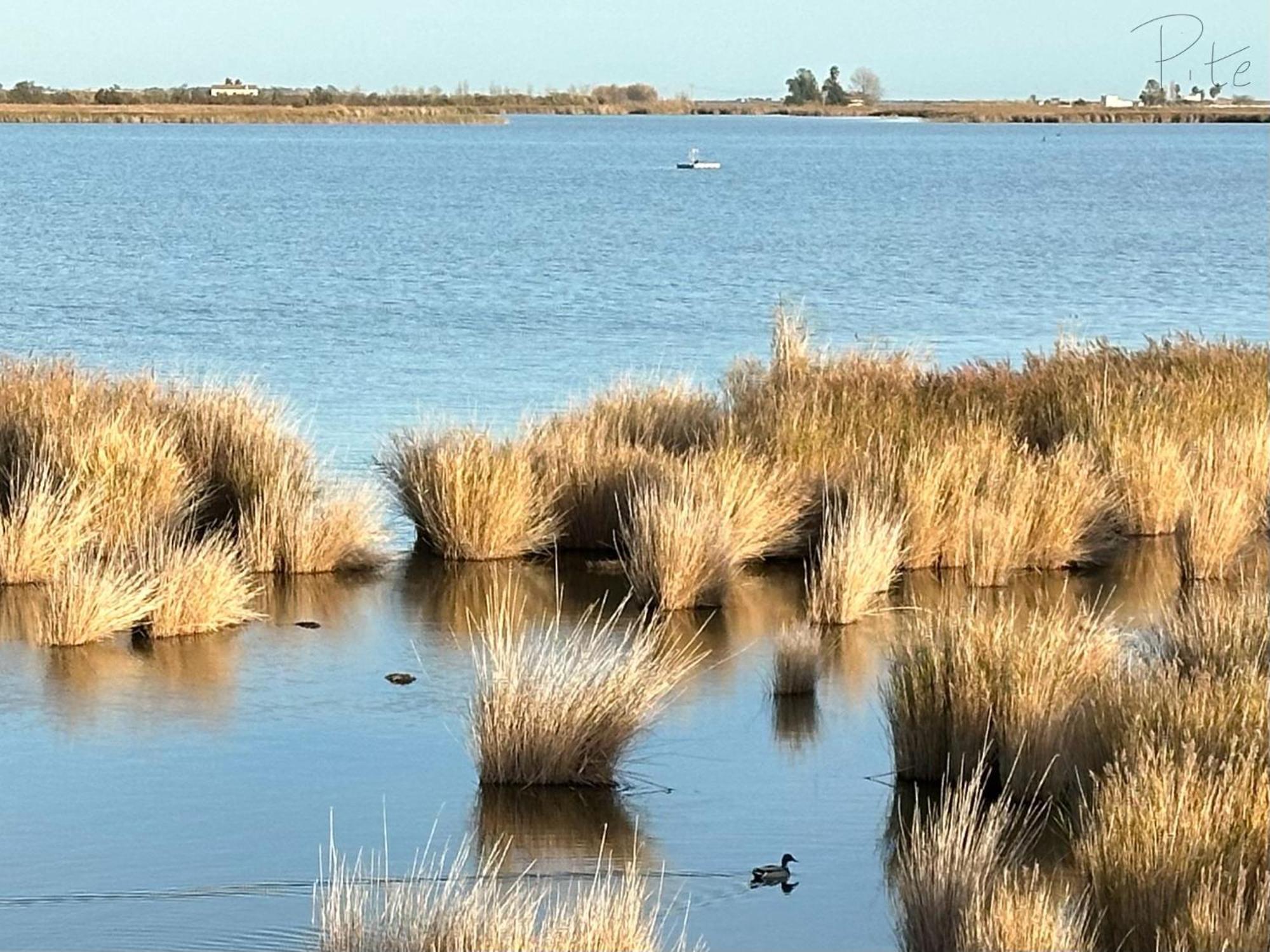 Penzion Cal Xot El Poblenou del Delta Exteriér fotografie